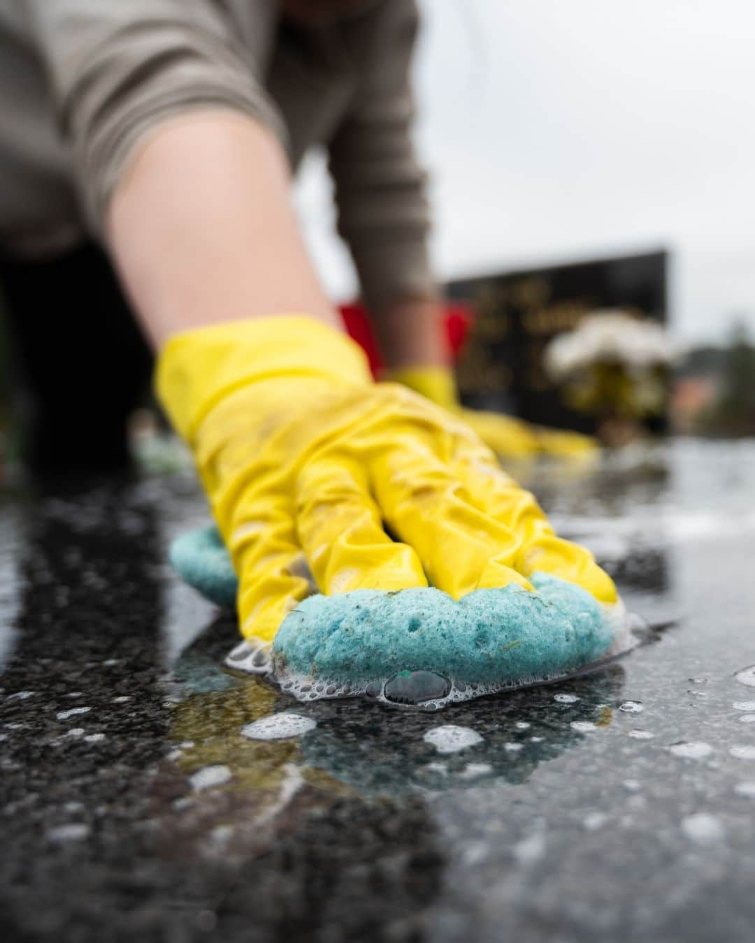 mrs.clean servicios de limpieza en guadalajara